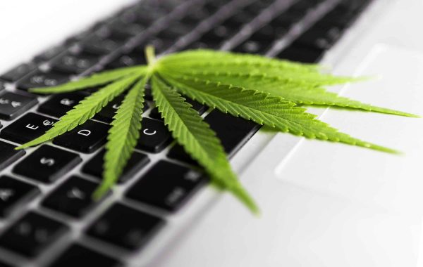 The State of Marijuana in the Workplace 2024